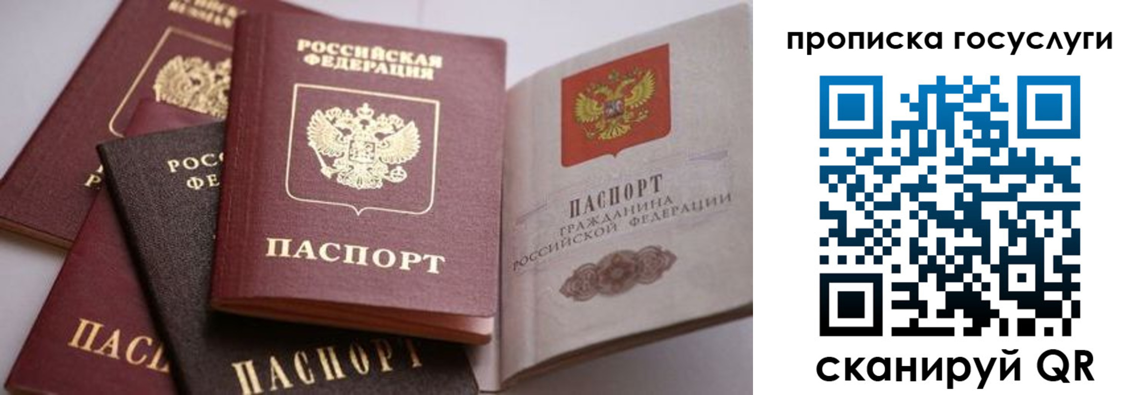 прописка иностранных граждан в Донецке